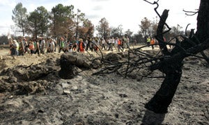 Marcha para pedir la recuperación de los montes arrasados en Castrocontrigo