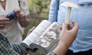 La enogastronomía se une a la micología en unos talleres al alcance de todos en Soria