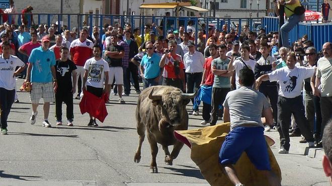 Aldeamayor y Valdestillas dicen adiós a sus fiestas con dos encierros matutinos