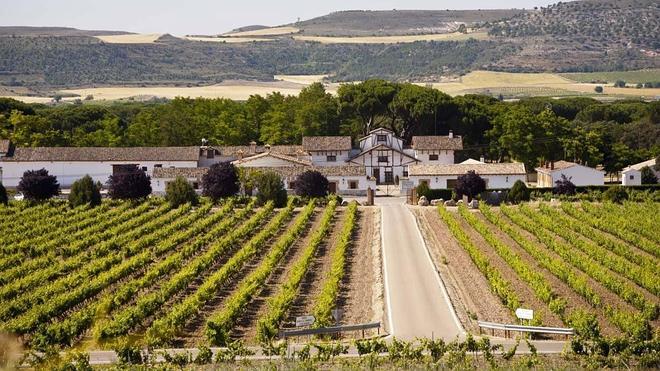 Bodegueros por amor
