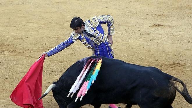 Cuatro corridas, dos novilladas y una de rejones para la Feria de Salamanca