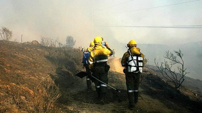 La Junta activa el operativo contra incendios en León por el alto riesgo