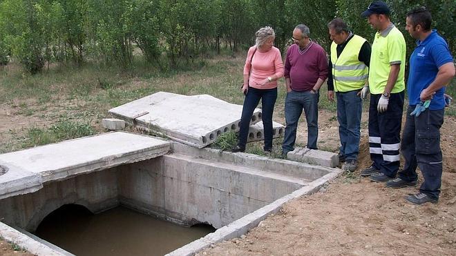 Recogen cientos de peces muertos del Eresma