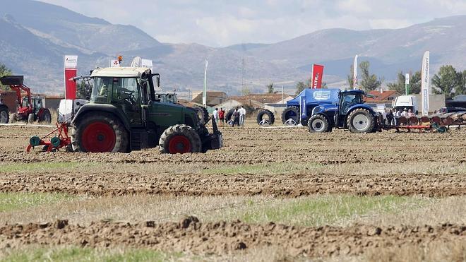 El Campeonato Nacional de Arada, de nuevo en la provincia de Ávila