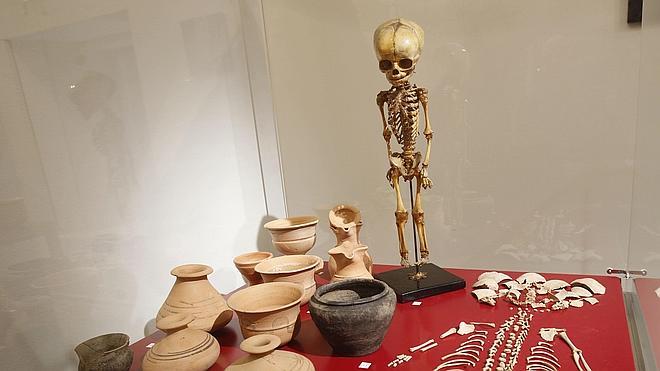 La exposición contemporánea de la UVa, 'Vaccearte', llega hoy a Portugal