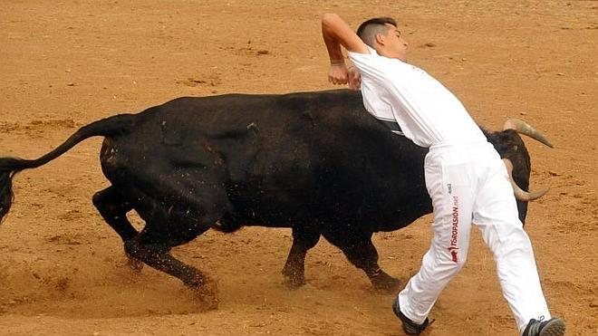 Matapazuelos celebra el concurso de cortes con mucho público pese al mal tiempo