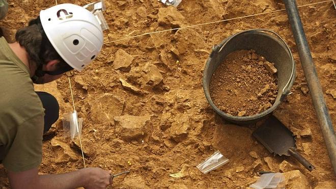 Atapuerca busca nueva especies