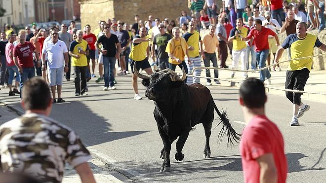 La Junta multa con 5.900 euros al Ayuntamiento de Astudillo por el 'toro enmaromado'