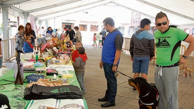 La protectora de Guardo celebra una jornada para divulgar su labor con los perros
