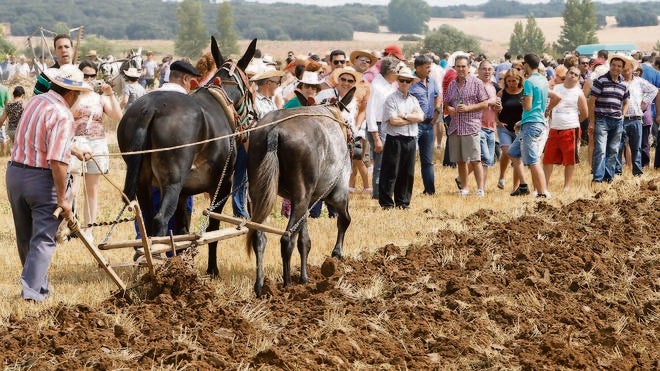 Regreso a las faenas del campo