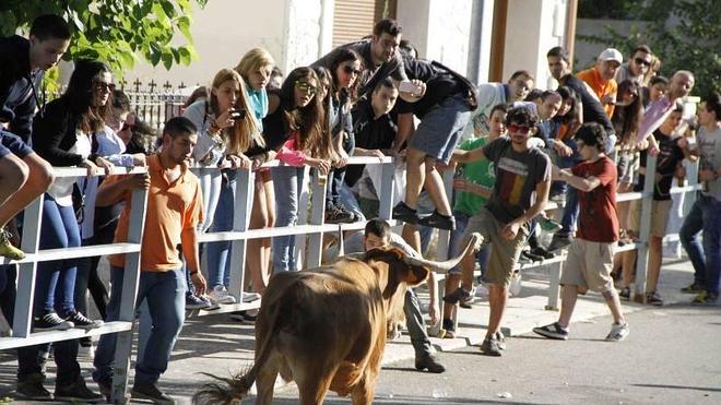 Campaspero se despide de las fiestas con satisfacción en sus eventos taurinos