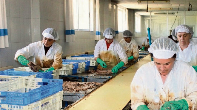 Conservas Azkue de Baltanás sortea la crisis y amplía su plantilla hasta los 60 empleados