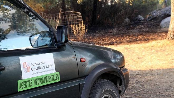 Una estufa de una granja avícola causó el incendio de Pinarejos