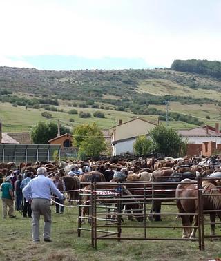 La Diputación contribuye con 5.000 euros a la celebración de la Feria de Ganado de la Pernía