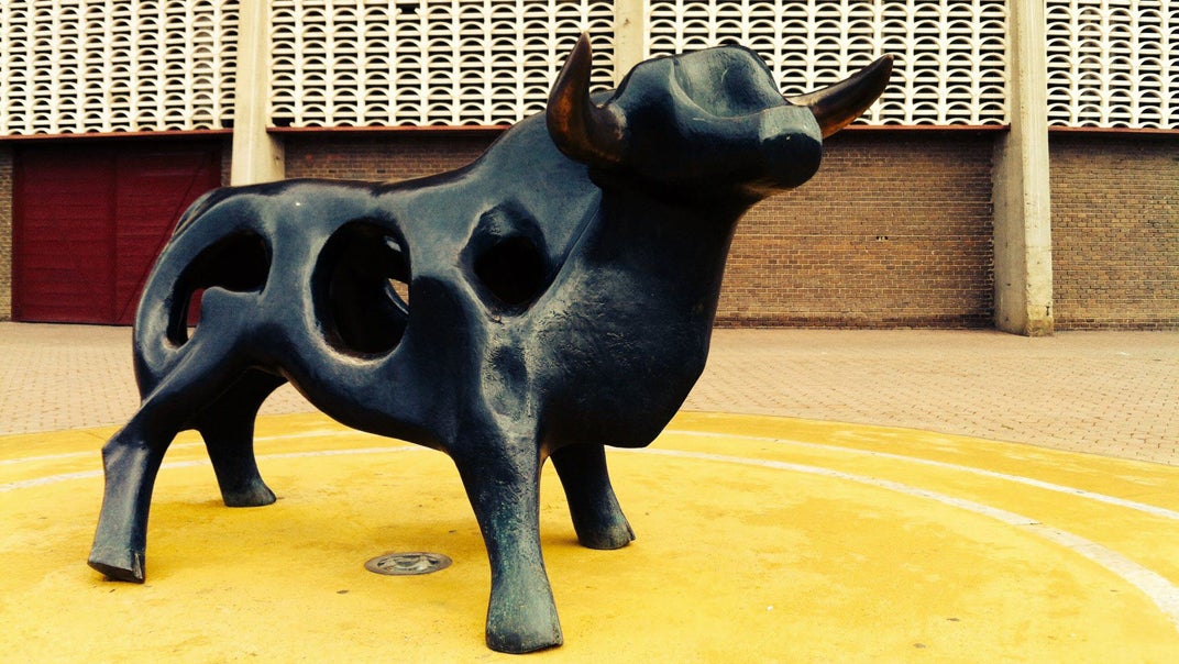 Actividades en la Plaza de Toros de Palencia