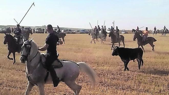 Más de un centenar de caballistas en el primer encierro campero de Villanueva