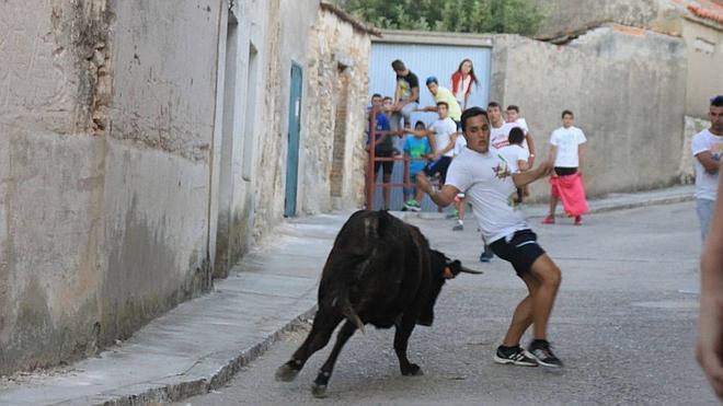 Un joven resulta contusionado en el encierro de Ciguñuela