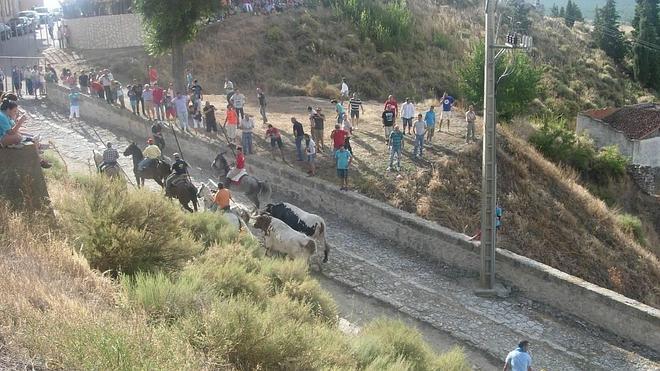 Rápido y sin incidencias el segundo encierro de Portillo