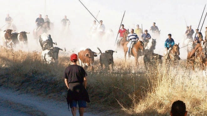Encierro campero perfecto