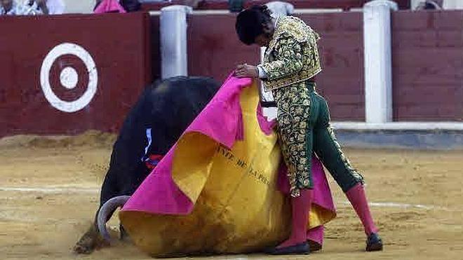 Morante de la Puebla gana el trofeo de la Federación Taurina de Valladolid