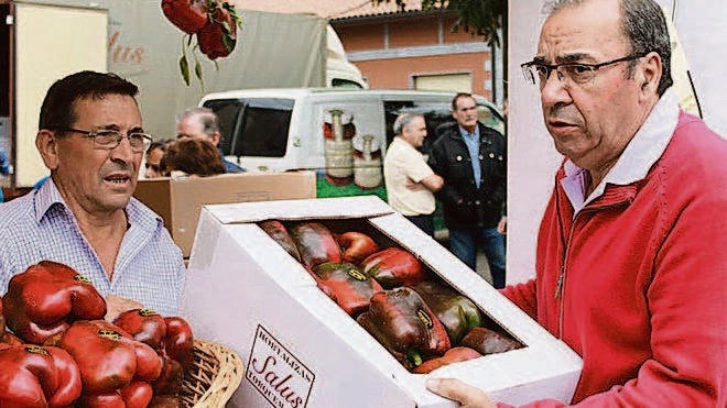 La cosecha de pimientos en Torquemada ha descendido por las bajas temperaturas del verano