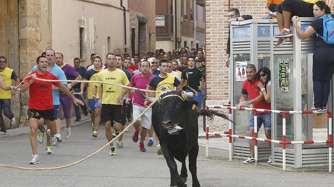 Anpba recurre la orden de la Junta que legaliza el toro enmaromado de Astudillo