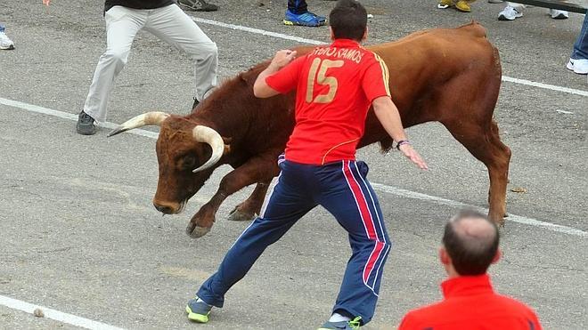 El tercer encierro de las fiestas de Olmedo transcurre limpio y vistoso