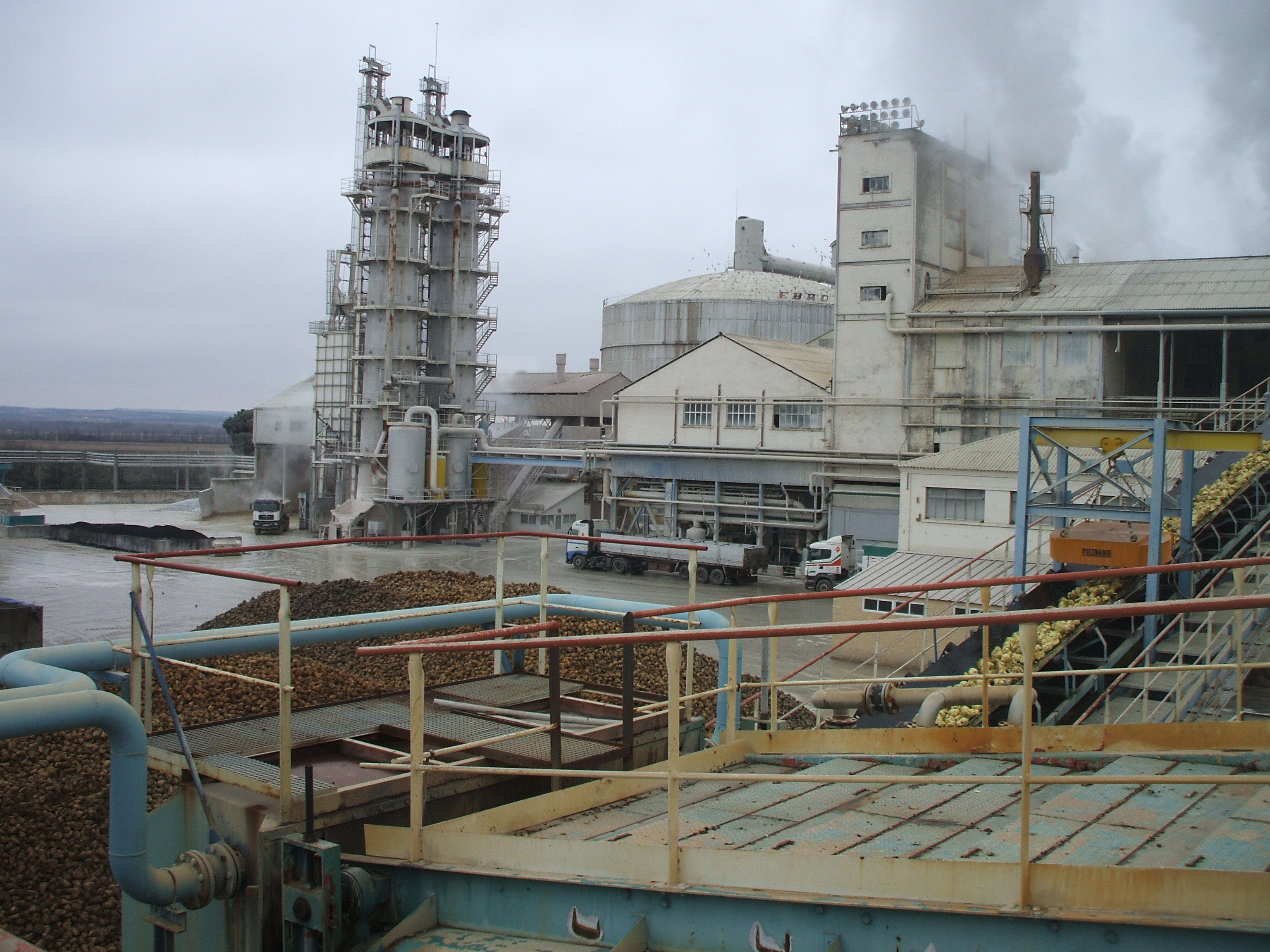 La campaña de remolacha arrancará el 14 de octubre en Toro