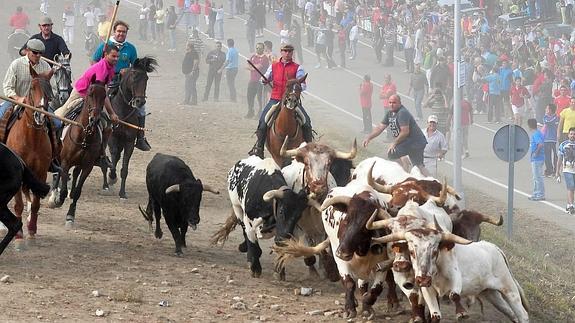 Olmedo celebra el encierro más complicado para cerrar los festejos