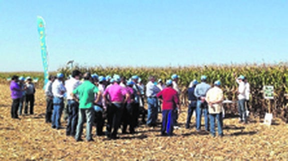 150 agricultores participan en una jornada sobre el maíz en Arabayona