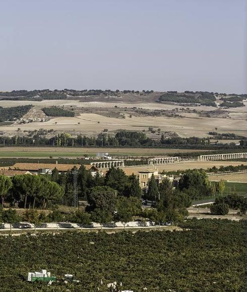 La lluvia acelera una vendimia que trae uva de calidad superior a la de 2013