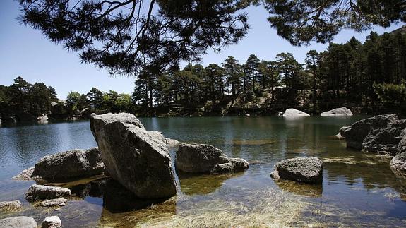 La Casa del Parque de la Laguna Negra organiza los sábados de octubre unas jornadas micológicas