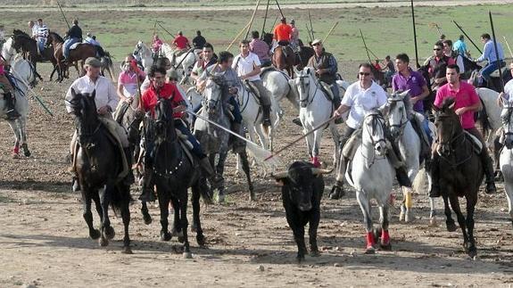 Olmedo celebra el primer encierro en honor a la Soterraña