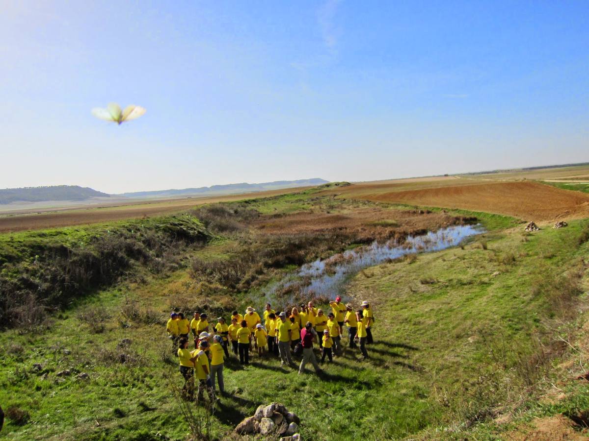 Voluntarios de Acenva y vecinos de la Aldea de San Miguel rehabilitan la laguna de El Barral