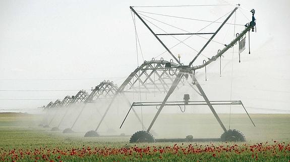 Castilla y León, la tercera región que más agua de riego consume