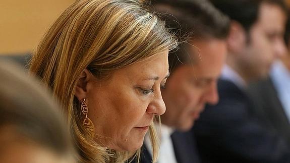 La Junta ha pagado 5,7 millones a dos de las 165 empresas investigadas en la operación Púnica
