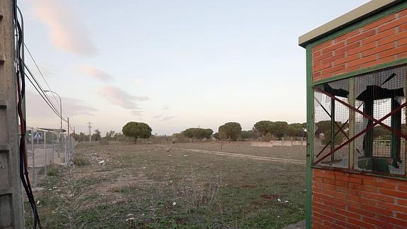 El Ayuntamiento sigue adelante con las obras y los permisos para Pingüinos, aunque el evento sigue suspendido