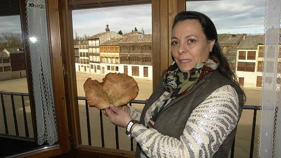 Un níscalo de medio kilo encontrado en la comarca de Peñafiel