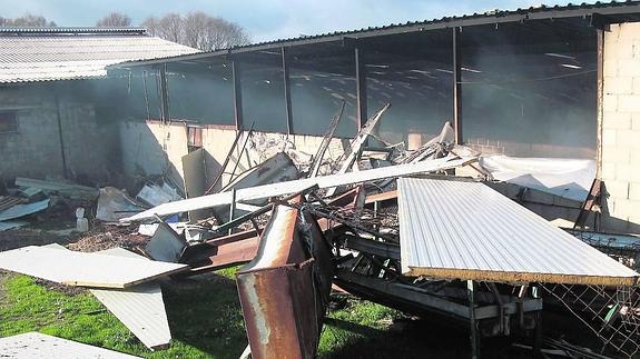 Mueren 50 corderos en el incendio de una nave ganadera en Intorcisa