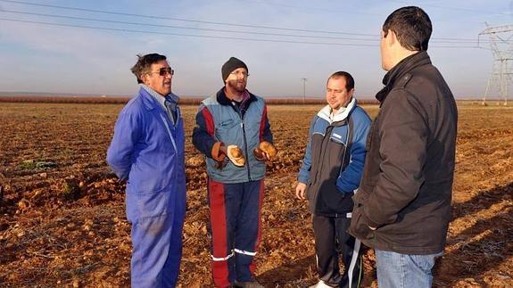 Un agricultor de Serrada regala 100.000 kilos de patatas