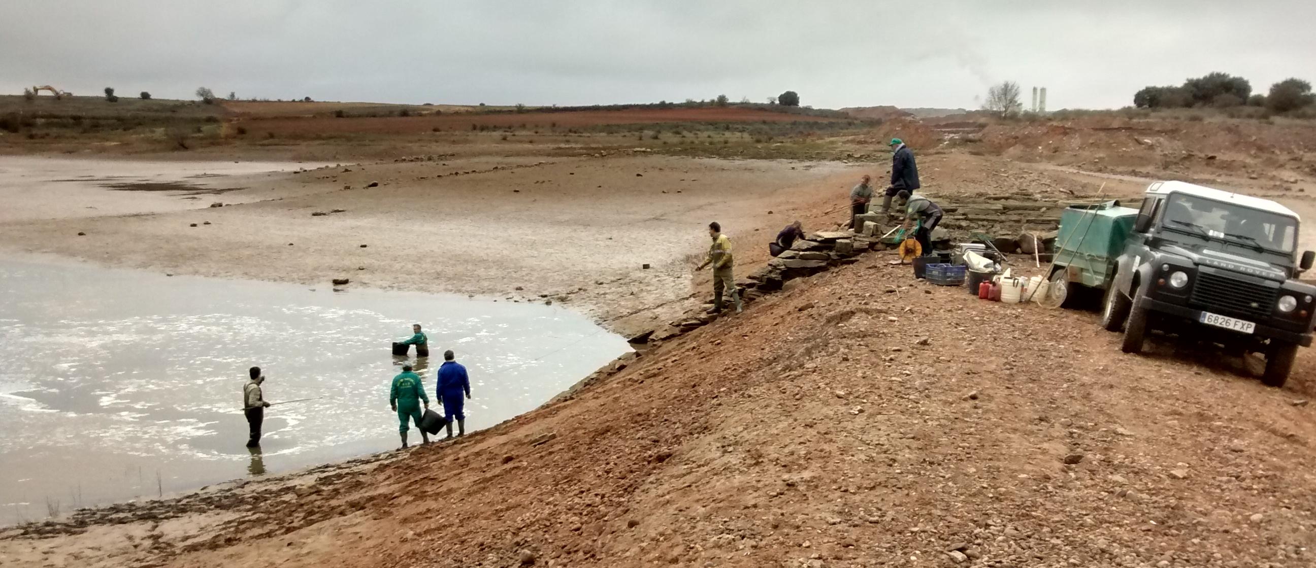 El Servicio de Medio Ambiente traslada más de una tonelada de peces al embalse de Ricobayo