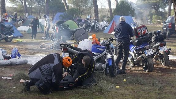 El Ayuntamiento advierte de que la Junta multará a los posibles pingüinos que acampen en Puente Duero