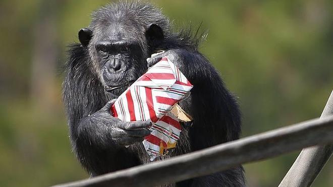 Regalos tecnológicos: Lo + 'top' de la Navidad