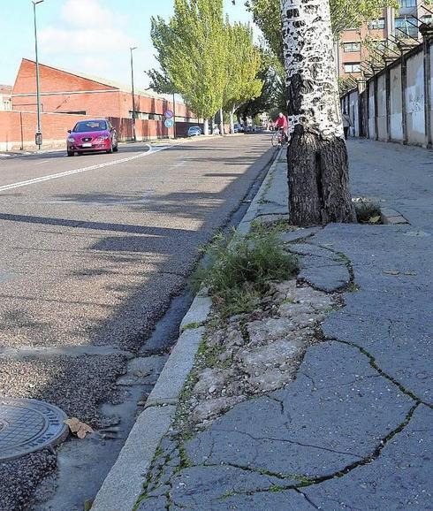 Urbanismo paraliza obras en Farnesio y Parquesol y las pospone sin fecha