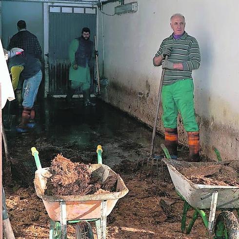 El matadero de Peñaranda reanuda su actividad con la plantilla al completo