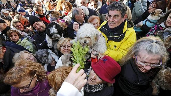 Celebraciones de San Antón por toda la comunidad