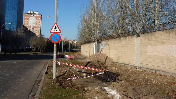 Talan 45 árboles junto a la Feria de Muestras para arreglar la acera de Vicente Mortes