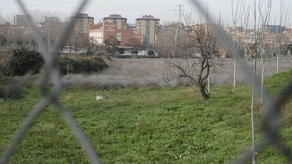 El Ayuntamiento de Valladolid autoriza el pago a los propietarios de los terrenos de Zambrana