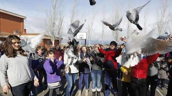 Los colegios celebran el Día de la Paz