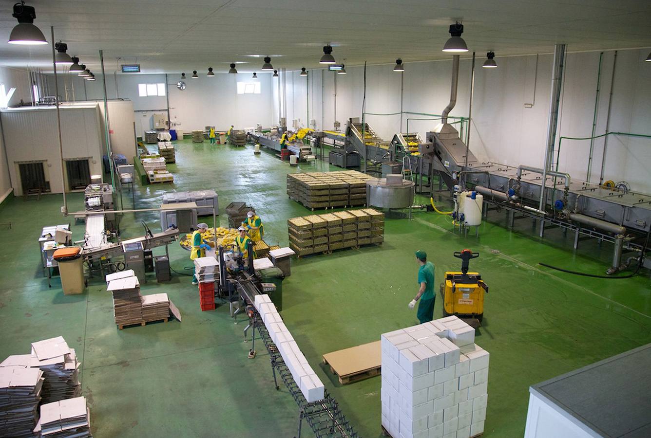 Huercasa inyectará más de 2 millones para disparar su producción